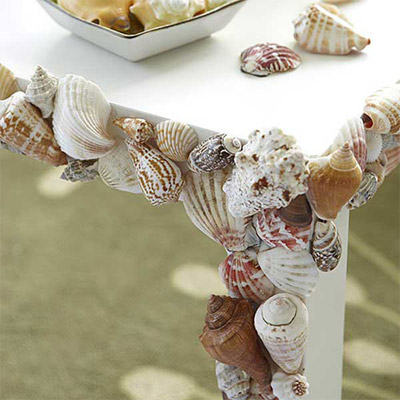 Seashell Table
