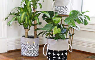planter cover