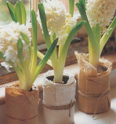 rustic windowsill pots