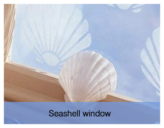Seashell window
