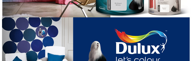 Dulux Paint