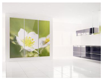 Canvas Printing