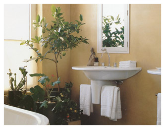 bathroom decor