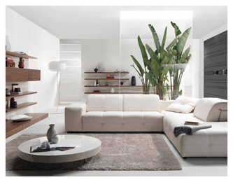 living room decor