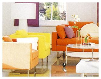 living room decor
