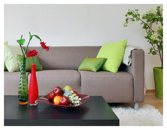 living room decor